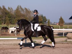 IMG_7364_web